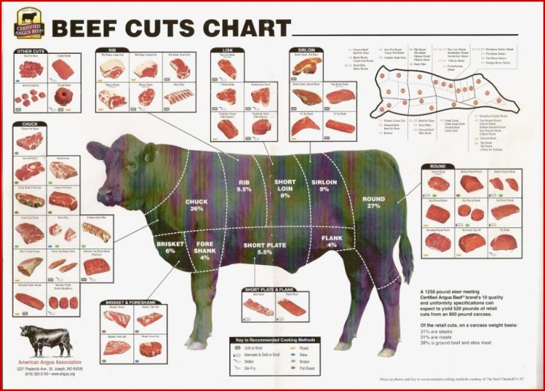 Livestock Beef Parts Worksheet Answers Livestock Cattle
