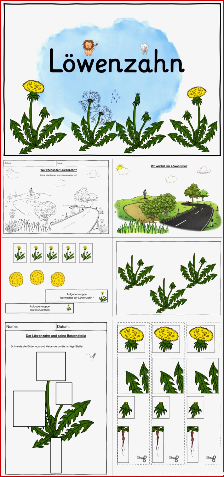 Löwenzahn Materialpaket • gpaed
