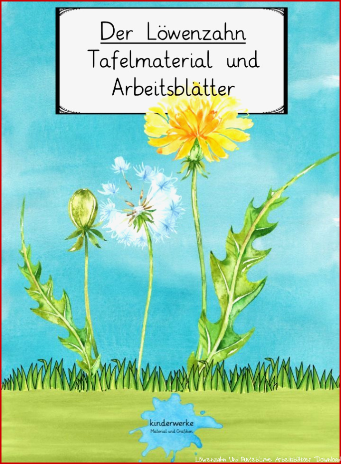 Löwenzahn Und Pusteblume Arbeitsblätter Download Worksheets