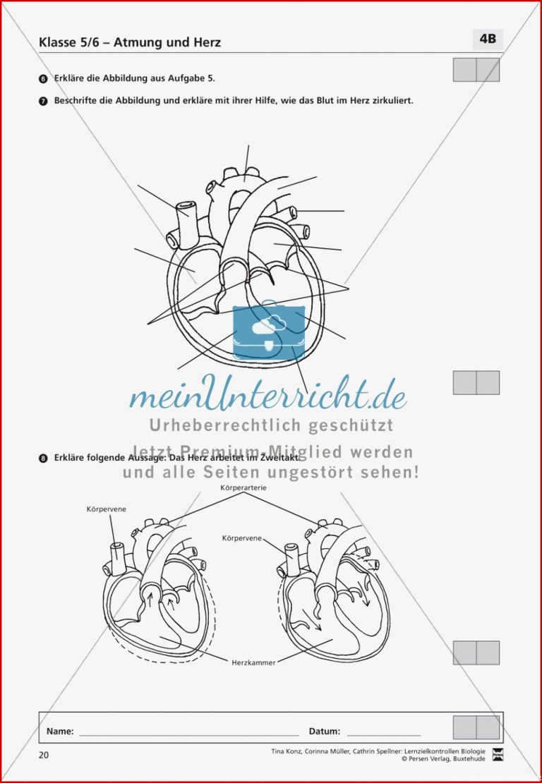 Lzk Klasse 5 6 Zum thema atmung Und Herz Meinunterricht