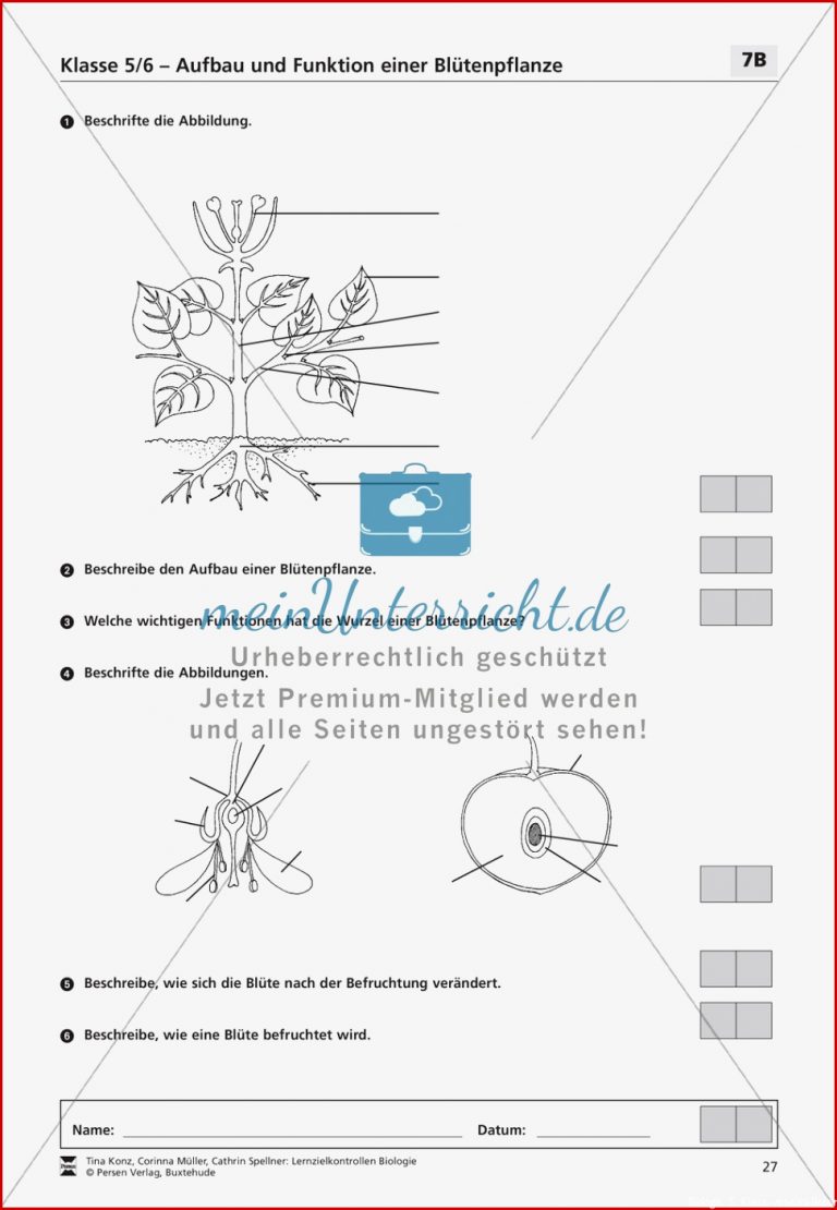 Lzk Klasse 5 6 Zum thema Aufbau Und Funktion Einer