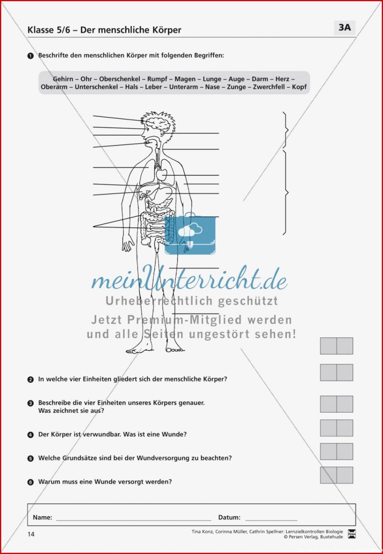 Lzk Klasse 5 6 Zum thema Menschlicher Körper Meinunterricht