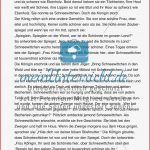 Märchen "schneewittchen" Texte In 3 Niveaustufen