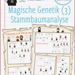 Magische Genetik 3 Stammbaumanalyse – Arbeitsblatt