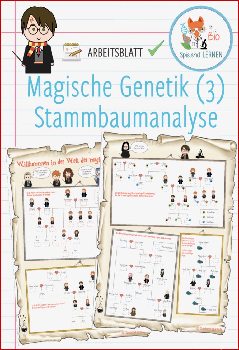 Magische Genetik 3 Stammbaumanalyse – Arbeitsblatt