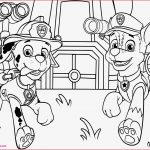 Malvorlagen Paw Patrol Kostenlos Malvorlagen