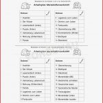 Marienkäferwerkstatt Für Grundschule