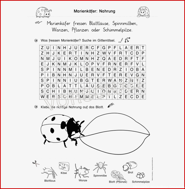 Marienkäferwerkstatt für Grundschule