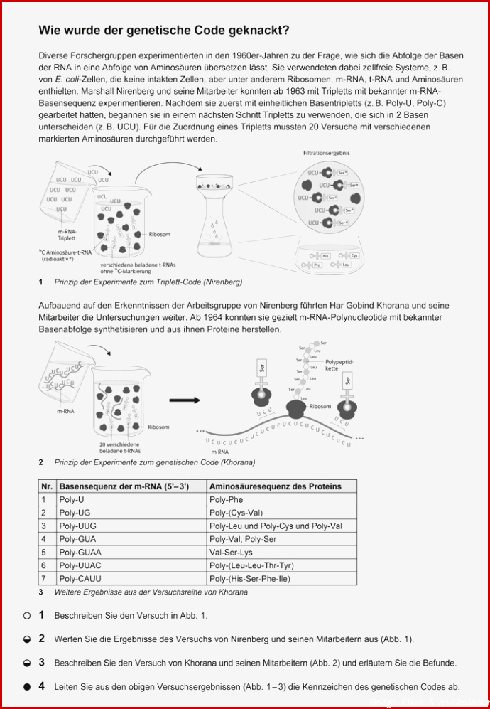 Markl Biologie Oberstufe 2010 Lösungen Pdf komplette