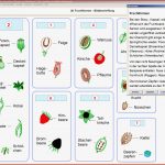 Mastertool themenpaket Biologie Pflanzenkunde 2 Arus