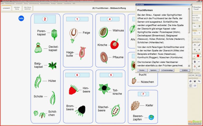 Mastertool Themenpaket Biologie Pflanzenkunde 2 Arus