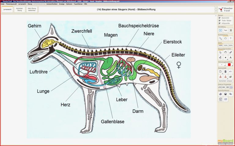 Mastertool themenpaket Biologie Tierkunde Teil 1 Arus