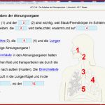 Mastertool themenpaket Hauptschule Biologie Klassen 5