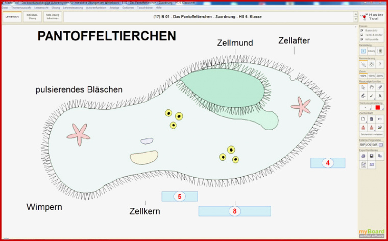 Mastertool themenpaket Hauptschule Biologie Klassen 5