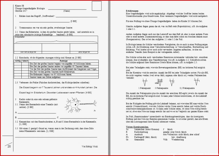 Materialien Unterstufe Natur Und Technik Lehrplanplus Www.bio ...