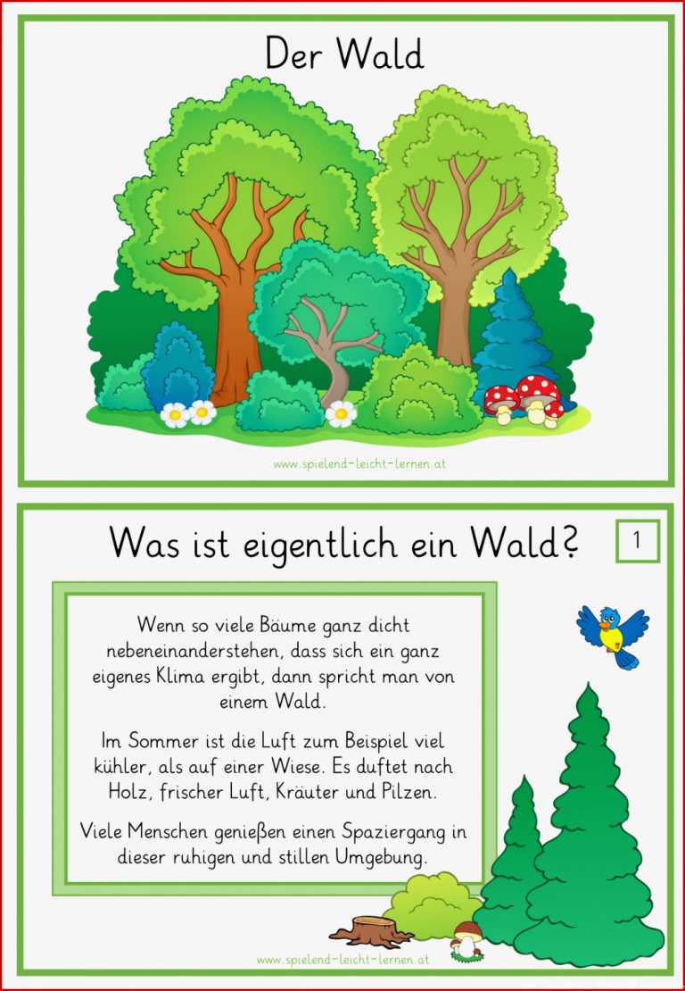 Materialpaket WALD in 2021