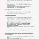 Materielle VerfassungsmÃ¤Ãigkeit Kopie 2 - Staatsrecht Ii - 91955 ...