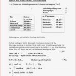 Mathe Klasse 5 Arbeitsblätter Worksheets