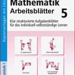 Mathematik Arbeitsblätter 5 Klasse Ilse Mayer Buch