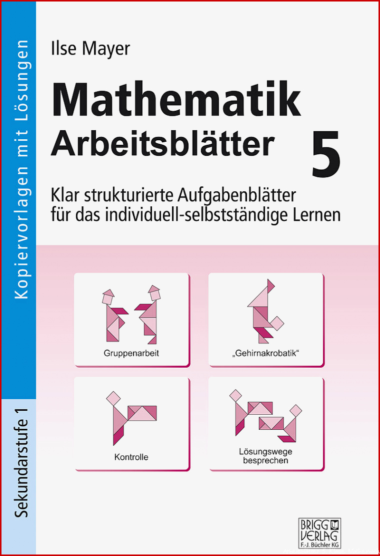 Mathematik Arbeitsblätter 5 Klasse Ilse Mayer Buch