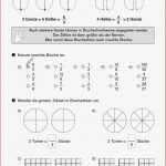 Mathematik Klasse 6 Arbeitsblätter Mit Lösungen