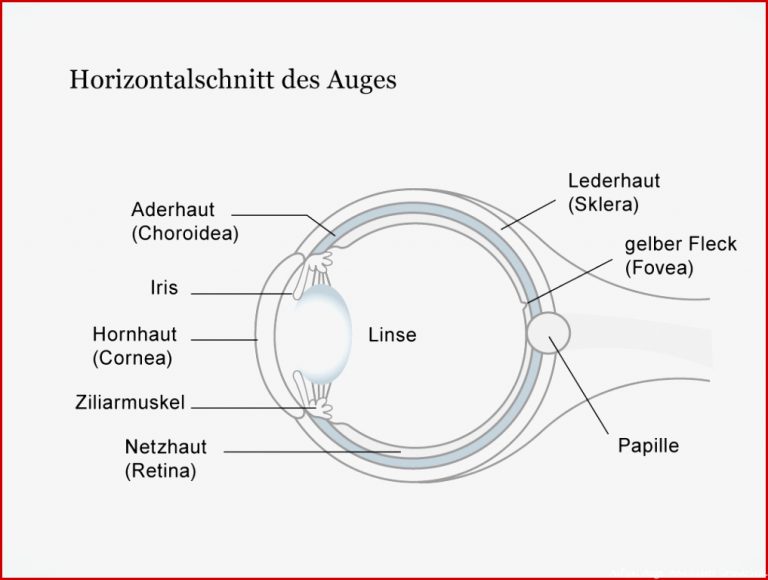 Mediathek Bild zum Download Mediathek Bild