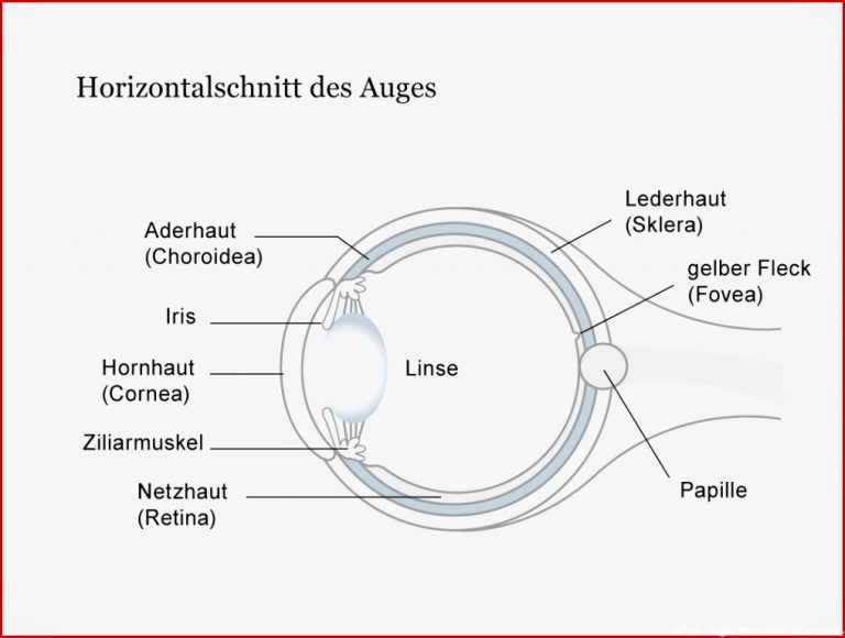 Mediathek Bild