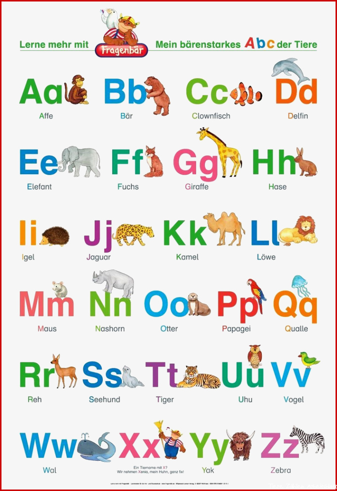 Mein bärenstarkes ABC der Tiere ABC Poster im