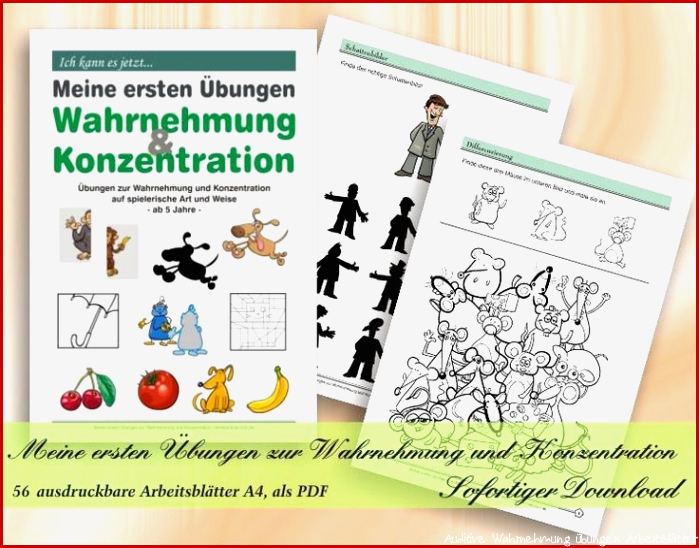 Meine ersten Übungen zur Wahrnehmung und Konzentration 56