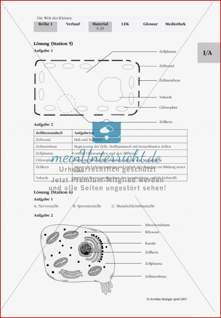 Meiose Arbeitsblatt Schroedel Debbie Preston Schule