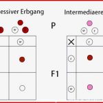 Mendelsche Regeln Einfach ErklÃ¤rt (1., 2. Und 3. Regel)