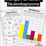 Mengen Erfassen Säulen Diagramm Erstellen Und Daten