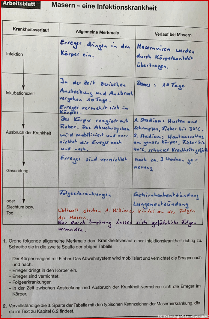 Mensch und Gesundheit (S. 270-295) - bzlearnings Webseite!