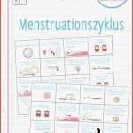 Menstruationszyklus – sortierspiel – Unterrichtsmaterial