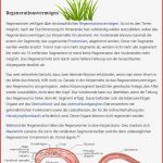 Merkmale Wirbellose Tiere Arbeitsblatt Debbie Preston Schule