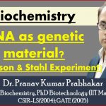 Meselson–stahl Experiment