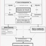 Methoden Der Umwelterziehung An Außerschulischen Lernorten