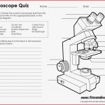 Microscope Diagram Labeled Unlabeled and Blank