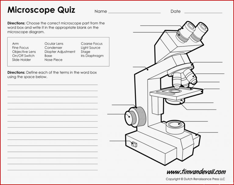 Microscope Diagram Labeled Unlabeled and Blank