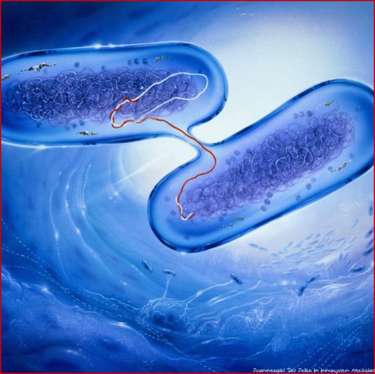 Mikroorganismen Acht Millionen Jahre alte Bakterien