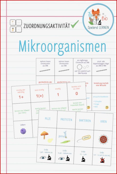 Mikroorganismen Zuordnungsaktivität