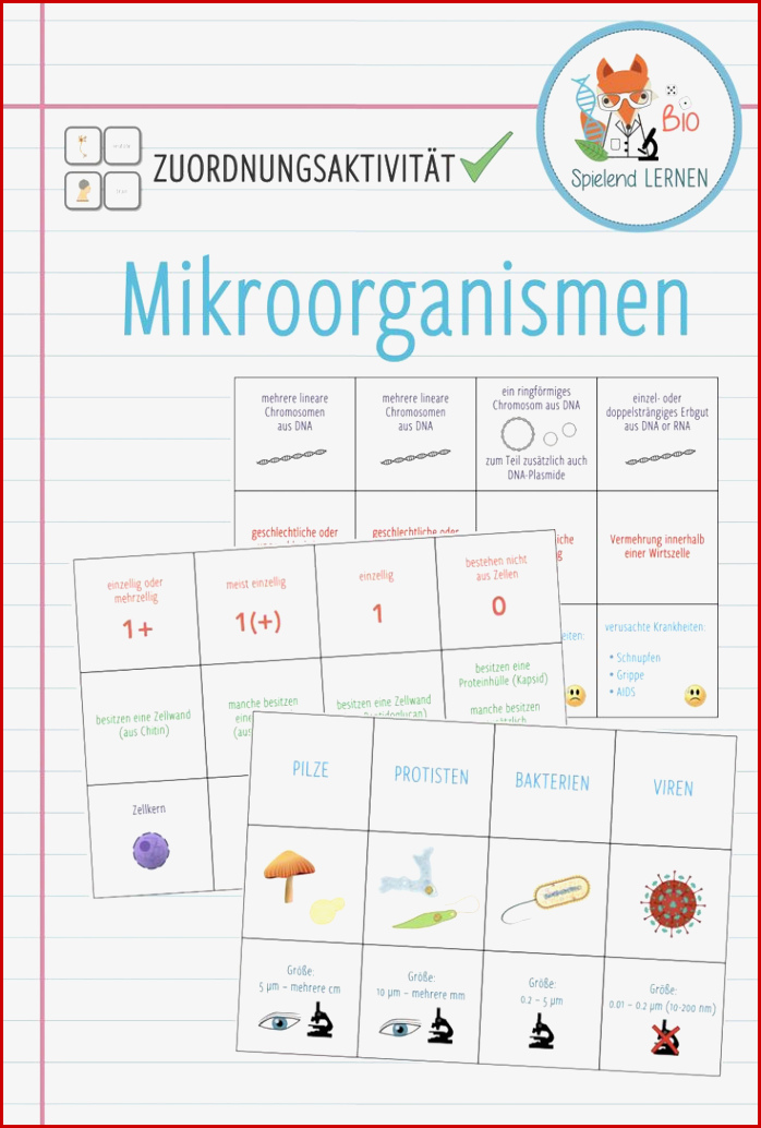 Mikroorganismen Zuordnungsaktivität