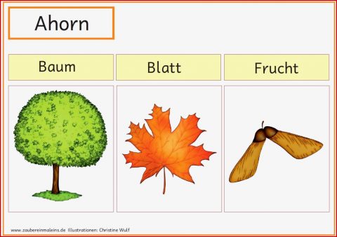 Mini Herbst Werkstatt – Zaubereinmaleins Shop