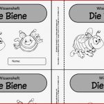 Miniwissensheft Bienenkartei Pdf