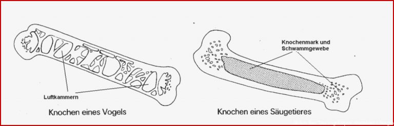 Mint-erleben.lu.ch