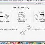 Miss Cupcakes Loves to Teach Die Bestäubung Der Biene