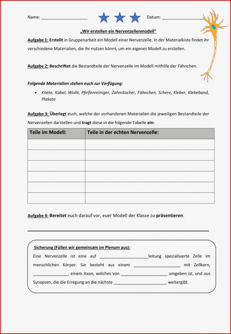 Mitose Arbeitsblatt Klasse 9 Carl Winslow Grundschule