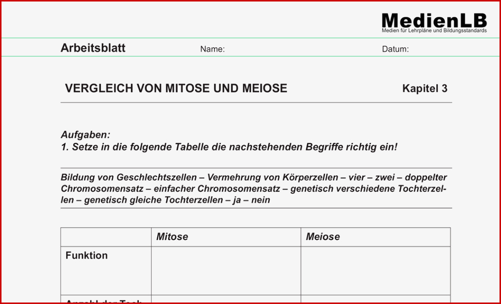 Mitose Arbeitsblatt Klasse 9 Carl Winslow Grundschule