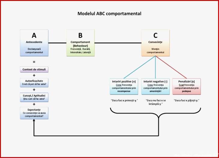 Model ABC portamental