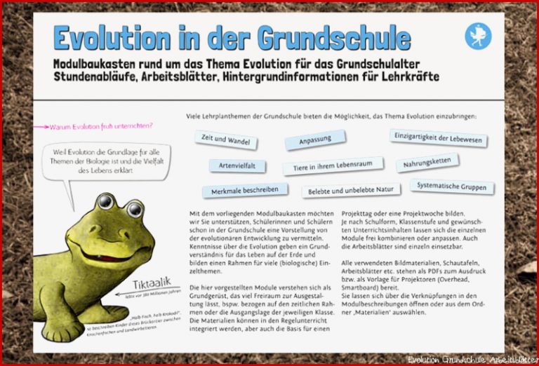 Modulbaukasten Evolution für Grundschule – Pindactica